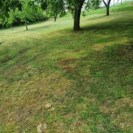 Le Claj'hope 4 Etoiles * Mouzon (Ardennes)