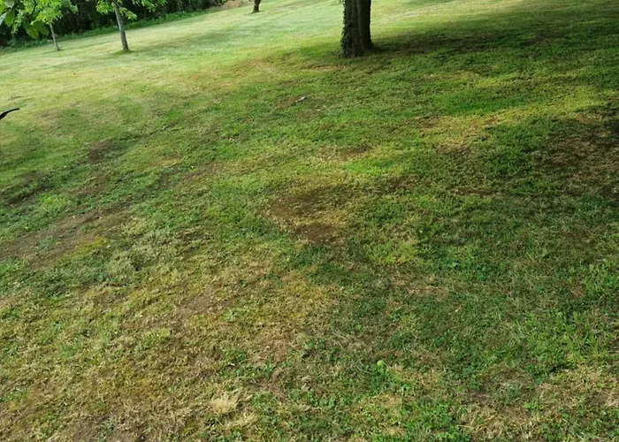 Le Claj'hope 4 Etoiles * Mouzon (Ardennes)